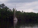 Canto anchored in Prince Creek, SC